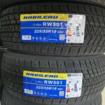 HABILEAD 225/55 R19
